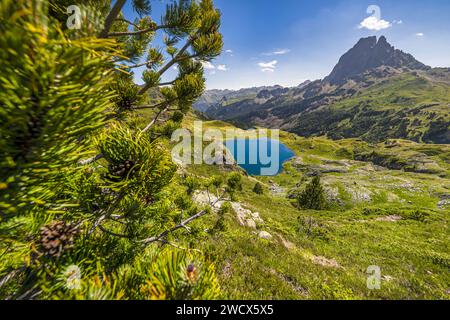 Frankreich, Pyrenäen Atlantiques, Béarn, Ossau-Tal, Pyrenäen-Nationalpark, Bersau See, Pic du Midi d'Ossau im Hintergrund Stockfoto