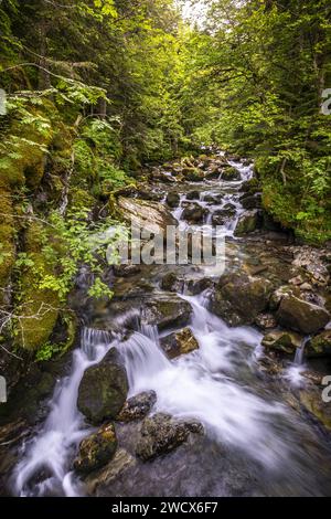 Frankreich, Pyrenäen Atlantiques, Béarn, Ossau-Tal, Pyrenäen-Nationalpark, Bious River Stockfoto