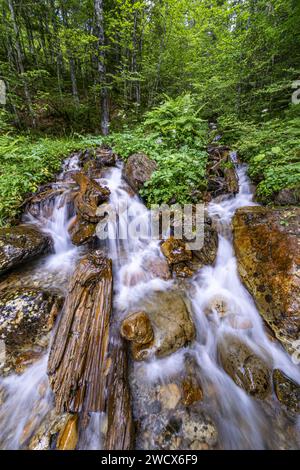 Frankreich, Pyrenäen Atlantiques, Béarn, Ossau-Tal, Pyrenäen-Nationalpark, Bious River Stockfoto