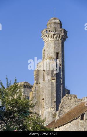 Frankreich, Indre et Loire, Le Grand-Pressigny, Grand-Pressigny-Schloss, Grand-Pressigny-Prähistorienmuseum Stockfoto