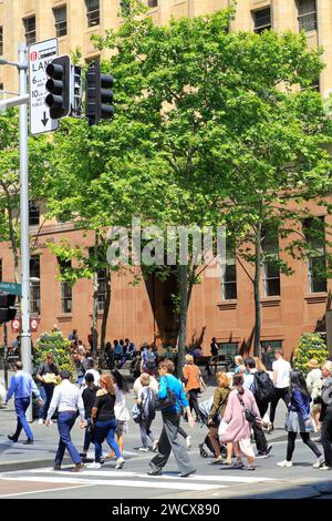 Australien, New South Wales, Sydney, Central Business District (CBD), Martin Place, Fußgängerüberquerung Stockfoto