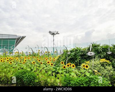 Flughafen Singapur, Changi Stockfoto