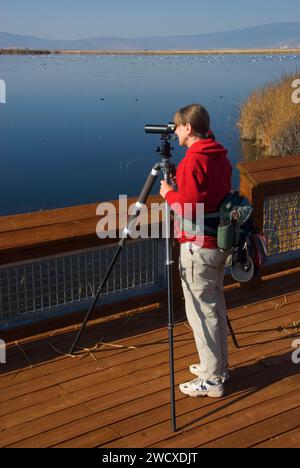 Vogelbeobachtung, Lower Klamath National Wildlife Refuge, Kalifornien Stockfoto