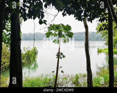 Kambodscha, Region Ratanakiri, Banlung, Yeak Loam Lake Stockfoto