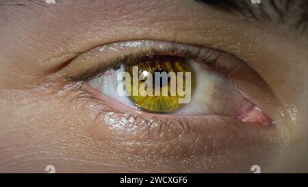 Makrodetails eines müden männlichen Haselnussauges blinkend und Blick auf die Kamera, extreme Nahaufnahme. Aufwachen und Spiegel einer Seele und Gedanken Stockfoto