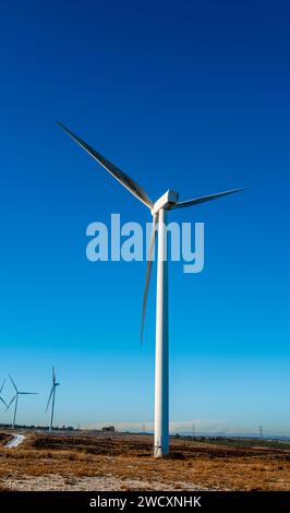 Pateshill Wind Farm, West Lothian, Schottland Stockfoto