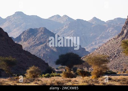 Landschaft, Gehaltsauslastung, Berge während der 10. Etappe der Dakar 2024 am 17. Januar 2024 um Al Ula, Saudi-Arabien Stockfoto