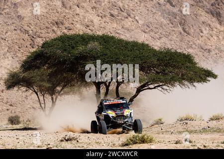 411 DE SOULTRAIT Xavier (fra), MOTORHAUBE Martin (fra), Sebastien Loeb Racing - Bardahl Team, Polaris RZR Pro R, FIA SSV, Action während der 10. Etappe der Dakar 2024 am 17. Januar 2024 in Al Ula, Saudi Arabien Stockfoto