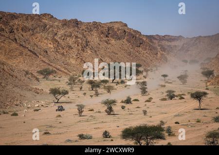 411 DE SOULTRAIT Xavier (fra), MOTORHAUBE Martin (fra), Sebastien Loeb Racing - Bardahl Team, Polaris RZR Pro R, FIA SSV, Action während der 10. Etappe der Dakar 2024 am 17. Januar 2024 in Al Ula, Saudi Arabien Stockfoto