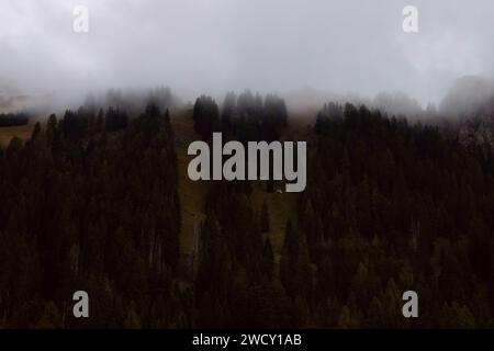 Verschleierte Höhen: Ein Bergwald, der in Nebel gehüllt ist und eine Szene der Mystik erschafft Stockfoto