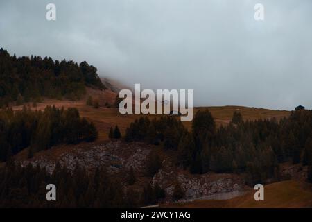 Whispers of Mist Eine einsame Hütte in einer Wiese, umhüllt von dem sich nähernden Nebel. Stockfoto