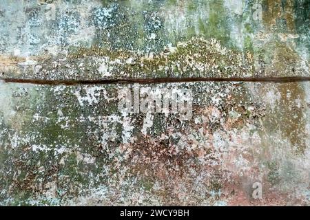 Form an Wand, Form an Wand, Formwand, Formwand. Das Bad oder Hamam Hamam Innenwand mit Schimmelgrün und Erosion, vernachlässigte Schimmelwände Stockfoto