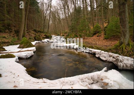 Ein winterlicher Bach fließt durch ein bewaldetes Gebiet, das mit schwimmendem Eis geschmückt ist Stockfoto