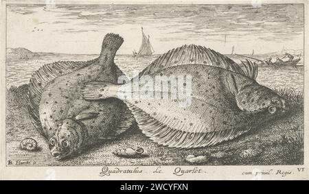 Zwei Schollen am Strand, Albert Flamen, Druckerei 1664: ParisParisFrance Papierätzfische Stockfoto