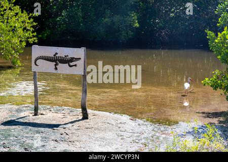 Gefahr Krokodile, kein Schwimmen - Warnschild am Ufer des Sees. Stockfoto