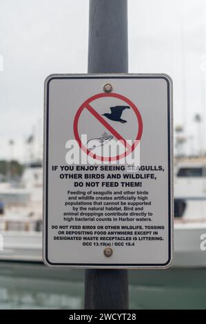 Füttern Sie keine Möwen-Schild am Strand Stockfoto