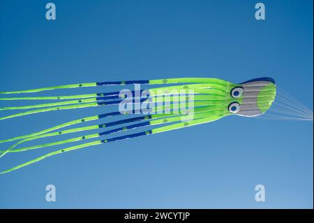 Ein Drachen in Form eines Oktopus Stockfoto