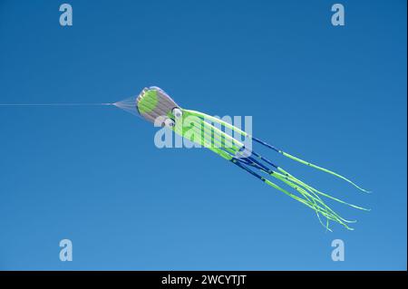Ein Drachen in Form eines Oktopus Stockfoto