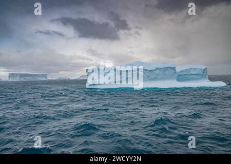 Eisberge in Cooper Bay und Drygalski Fjord, South Georgia Island, zahlreich aufgrund des Abbruchs des antarktischen Schelfeises, der von Wellen auf der Reise geformt wurde Stockfoto