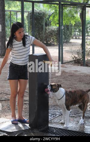 barcelona/katalonien/ Spanien/ 25.Juli 2019/heute treffen die Hitzewellen heute auf 30C und 86F in temperatur heißen Wellen, die die Menschen am Strand genießen und sich von den Hitzewellen abkühlen .. (Foto..Francis Dean / Deanpices. Stockfoto