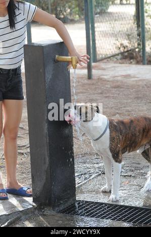 barcelona/katalonien/ Spanien/ 25.Juli 2019/heute treffen die Hitzewellen heute auf 30C und 86F in temperatur heißen Wellen, die die Menschen am Strand genießen und sich von den Hitzewellen abkühlen .. (Foto..Francis Dean / Deanpices. Stockfoto