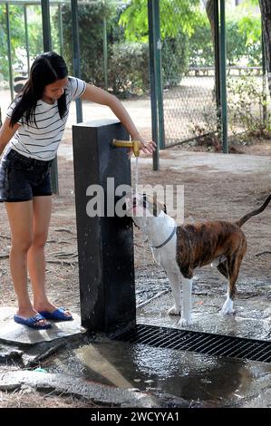 barcelona/katalonien/ Spanien/ 25.Juli 2019/heute treffen die Hitzewellen heute auf 30C und 86F in temperatur heißen Wellen, die die Menschen am Strand genießen und sich von den Hitzewellen abkühlen .. (Foto..Francis Dean / Deanpices. Stockfoto