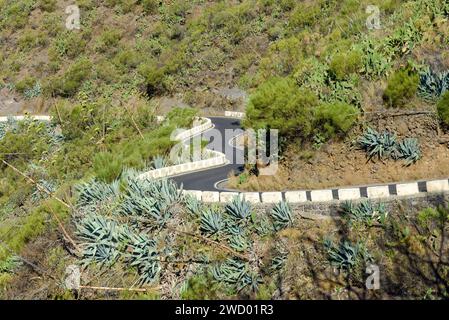 Blick auf die kurvenreiche, schmale Bergstraße zum Dorf Masca auf Teneriffa. Kanarische Inseln Stockfoto