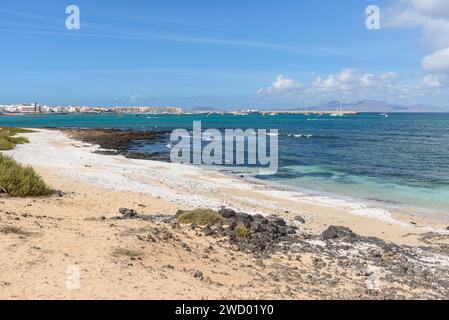 Popcorn Strand bedeckt mit getrockneten Meeresalgen in Corralejo auf Fuerteventura. Kanarischen Inseln. Spanien Stockfoto