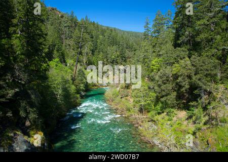 South Fork Smith River, Smith River National Recreation Area, Smith Wild and Scenic River, sechs Flüssen National Forest, Kalifornien Stockfoto