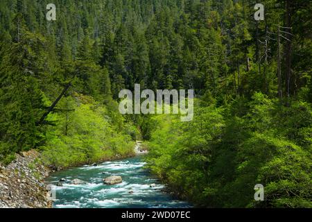 Middle Fork Smith River, Smith River National Recreation Area, Smith Wild and Scenic River, sechs Flüssen National Forest, Kalifornien Stockfoto