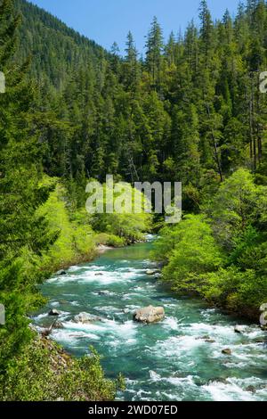 Middle Fork Smith River, Smith River National Recreation Area, Smith Wild and Scenic River, sechs Flüssen National Forest, Kalifornien Stockfoto