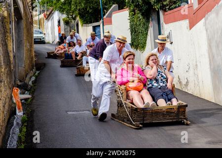 Touristen, die von Carreiros, carros de cesto, Monte-Rodelbahn, Korbwagen auf Kufen montiert wurden, Funchal, Madeira Island, Portugal Stockfoto