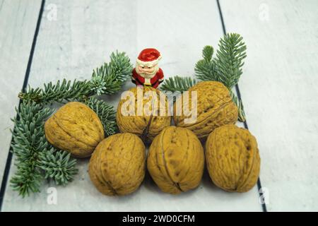 Walnuss (Juglans regia), Walnüsse mit Tannenzweigen und Weihnachtsmann Stockfoto