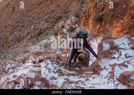 Frau klettert den steilen Abschnitt des Boucher Trail im Grand Canyon hinauf Stockfoto