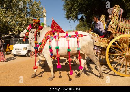 Bagan, Myanmar - 25. Dezember 2019: Dekorierte Zebus und Kutschen während des Shinbyu, einer Novitiationszeremonie, in der Tradition des Theravada-Buddhismus Stockfoto