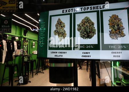 Bangkok, Thailand. Januar 2024. Verschiedene Cannabissorten zum Verkauf werden am 17. Januar 2024 außerhalb einer Cannabisausgabe im Nana-Bezirk in Bangkok, Thailand, beworben. Die neue thailändische Regierung hat ein Gesetz zur Änderung der geltenden Cannabisgesetzgebung eingeführt, um den Freizeitkonsum von Cannabis zu verbieten, nachdem das Land 2022 Cannabis für Freizeitzwecke entkriminalisiert hatte. (Kreditbild: © Valeria Mongelli/ZUMA Press Wire) NUR REDAKTIONELLE VERWENDUNG! Nicht für kommerzielle ZWECKE! Stockfoto