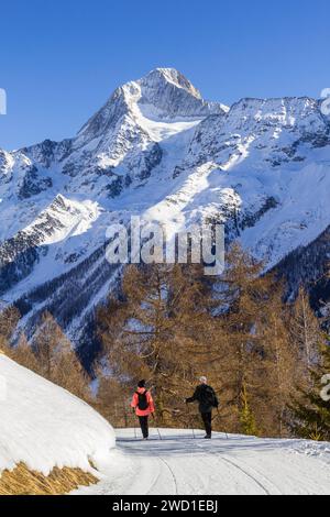Lauchernalp, Schweiz - 19. Januar. 2022: Wanderung auf dem Höhenweg im Lötschental mit dem majestätischen Alpengipfel Bietschhorn am Lötschental Stockfoto