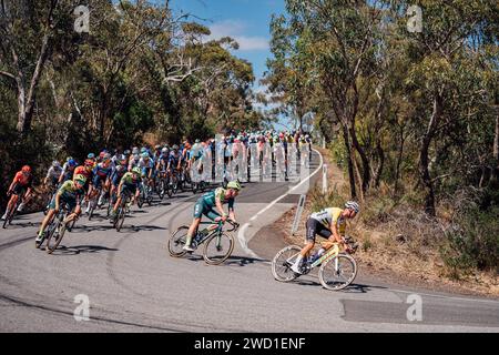 Adelaide, Australien. Januar 2024. Bild von Zac Williams/SWpix.com - 18/01/2024 - Radfahren - 2024 Tour Down Under - Stufe 3: TeebaumGully nach Cambelltown (145 km) - Luke Plapp, Jayco Alula. Quelle: SWpix/Alamy Live News Stockfoto