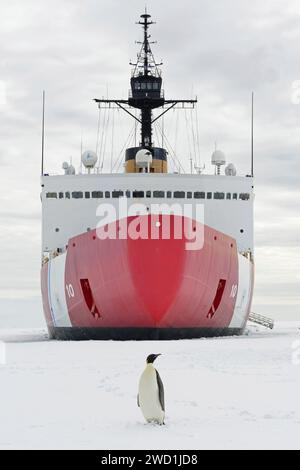 Ein Kaiserpinguin posiert vor der Küstenwache Cutter Polar Star im McMurdo Sound, Antarktis. Stockfoto