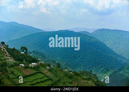 Wohnraum und Ernten entlang der Grenzen des Regenwaldes. Bwindi Inpenetrable Forest NP, Uganda Stockfoto