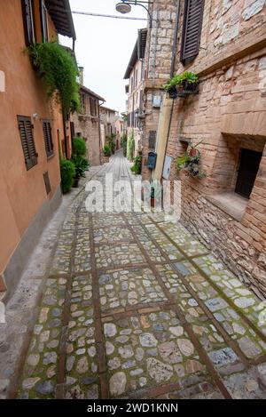 Kopfsteinpflasterallee in Spello - Italien Stockfoto