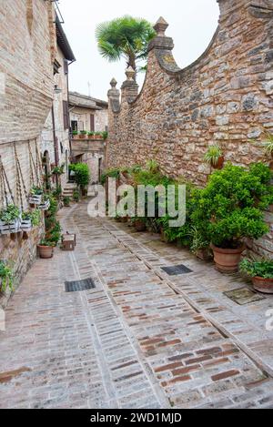 Kopfsteinpflasterallee in Spello - Italien Stockfoto