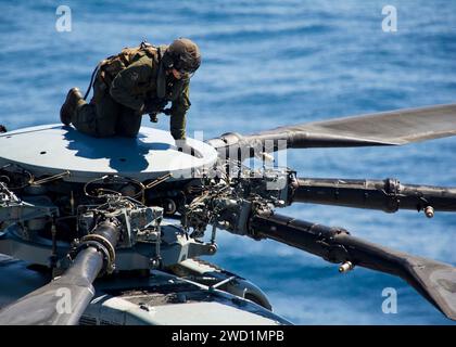 Ein Marine führt die Wartung nach dem Flug auf einem CH-53E Super Hallion Hubschrauber durch. Stockfoto