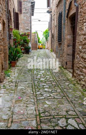 Kopfsteinpflasterallee in Spello - Italien Stockfoto