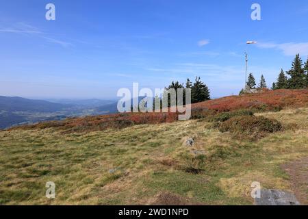 Herbst am Großen Osser im Bayerischen Wald Stockfoto