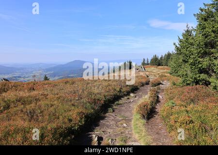 Herbst am Großen Osser im Bayerischen Wald Stockfoto