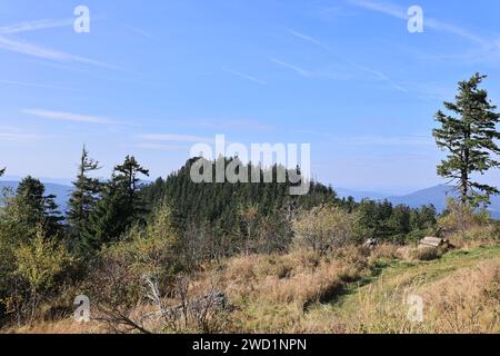 Herbst am Großen Osser im Bayerischen Wald Stockfoto