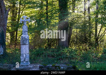 Pilgerkreuz an der Ausfahrt Roncesvalles, 14. Jahrhundert, Santiago's Road, Navarra, Spanien Stockfoto