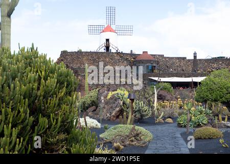 Der Jardín de Cactus ist ein Kaktusgarten im Norden von Guatiza an der Nordostküste Lanzarotes. Beliebte Touristenattraktion. Stockfoto