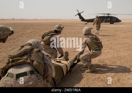 US-Seeleute und Marines tragen einen Marine mit einer simulierten Verletzung an einem UH-60L Black Hawk. Stockfoto